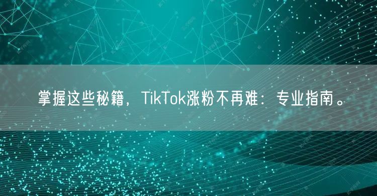 掌握这些秘籍，TikTok涨粉不再难：专业指南。