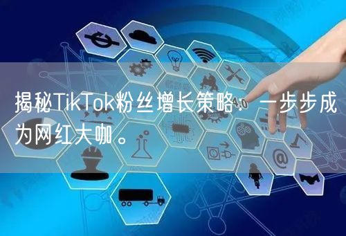 揭秘TikTok粉丝增长策略：一步步成为网红大咖。