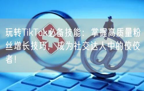 玩转TikTok必备技能：掌握高质量粉丝增长技巧，成为社交达人中的佼佼者！