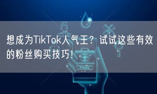 想成为TikTok人气王？试试这些有效的粉丝购买技巧！