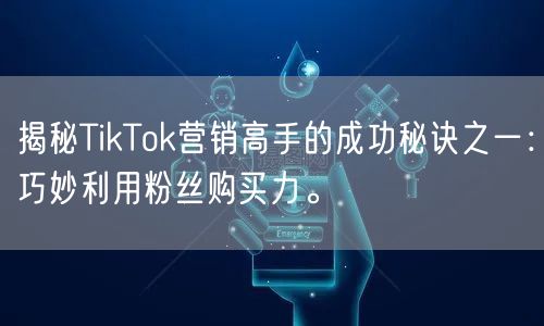 揭秘TikTok营销高手的成功秘诀之一：巧妙利用粉丝购买力。