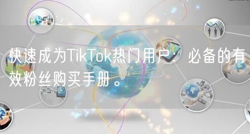 快速成为TikTok热门用户：必备的有效粉丝购买手册。