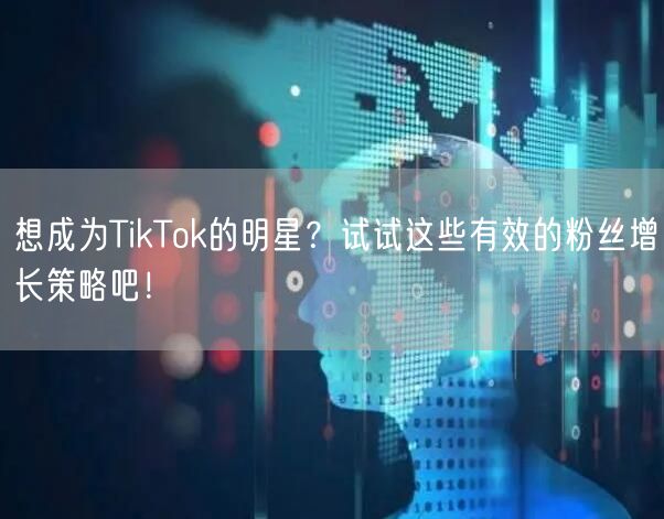 想成为TikTok的明星？试试这些有效的粉丝增长策略吧！