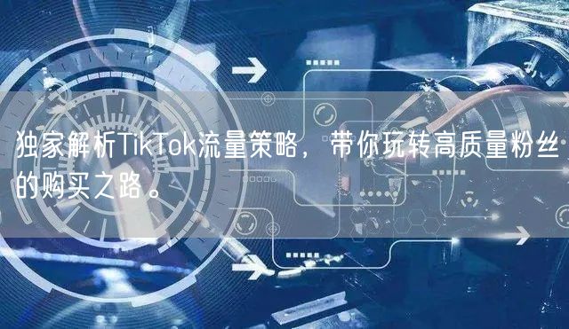 独家解析TikTok流量策略，带你玩转高质量粉丝的购买之路。