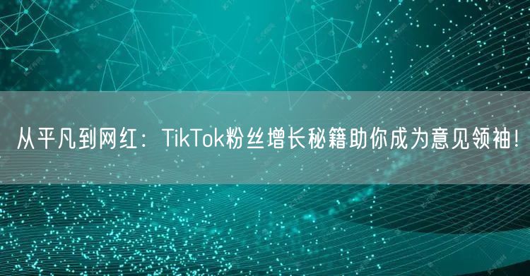 从平凡到网红：TikTok粉丝增长秘籍助你成为意见领袖！