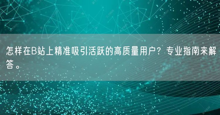 怎样在B站上精准吸引活跃的高质量用户？专业指南来解答。