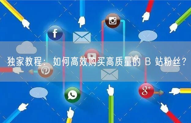 独家教程：如何高效购买高质量的 B 站粉丝？