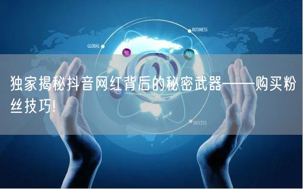 独家揭秘抖音网红背后的秘密武器——购买粉丝技巧!