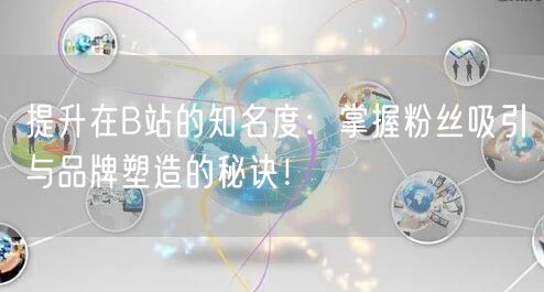 提升在B站的知名度：掌握粉丝吸引与品牌塑造的秘诀！