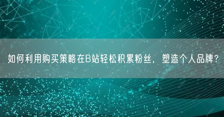 如何利用购买策略在B站轻松积累粉丝，塑造个人品牌？