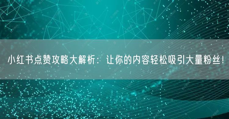 小红书点赞攻略大解析：让你的内容轻松吸引大量粉丝！