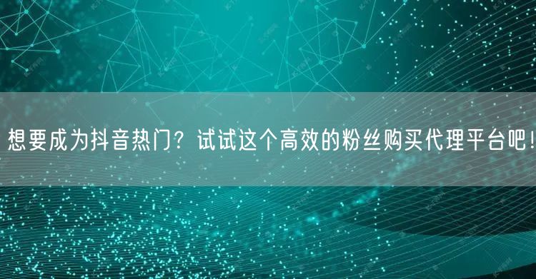 想要成为抖音热门？试试这个高效的粉丝购买代理平台吧！