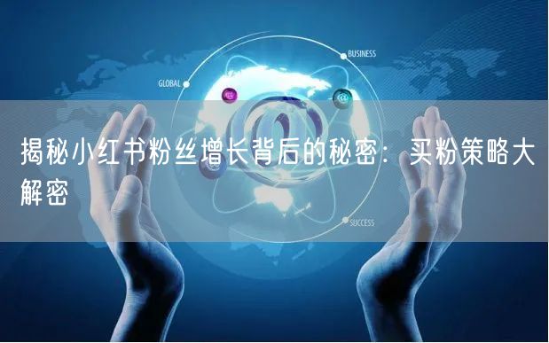 揭秘小红书粉丝增长背后的秘密：买粉策略大解密