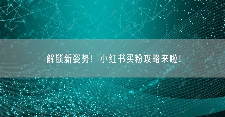 解锁新姿势！小红书买粉攻略来啦！