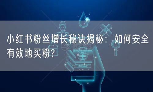 小红书粉丝增长秘诀揭秘：如何安全有效地买粉?