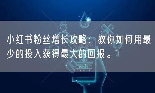 小红书粉丝增长攻略：教你如何用最少的投入获得最大的回报。