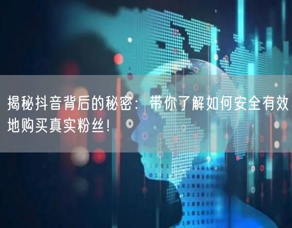 揭秘抖音背后的秘密：带你了解如何安全有效地购买真实粉丝！
