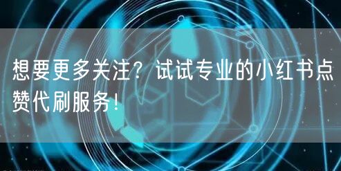 想要更多关注？试试专业的小红书点赞代刷服务！
