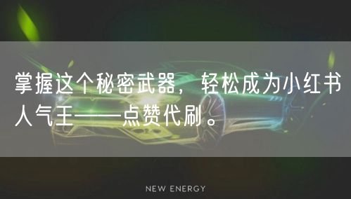 掌握这个秘密武器，轻松成为小红书人气王——点赞代刷。