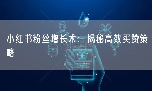 小红书粉丝增长术：揭秘高效买赞策略