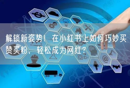 解锁新姿势！在小红书上如何巧妙买赞买粉，轻松成为网红？