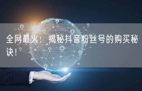 全网最火：揭秘抖音粉丝号的购买秘诀！