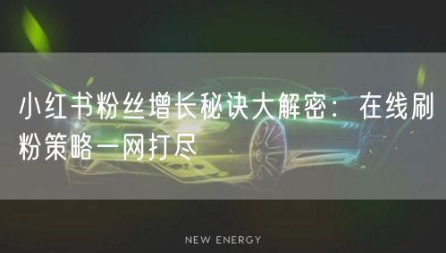 小红书粉丝增长秘诀大解密：在线刷粉策略一网打尽