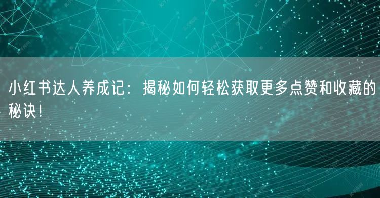小红书达人养成记：揭秘如何轻松获取更多点赞和收藏的秘诀！