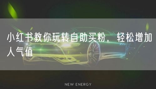 小红书教你玩转自助买粉，轻松增加人气值