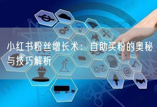 小红书粉丝增长术：自助买粉的奥秘与技巧解析
