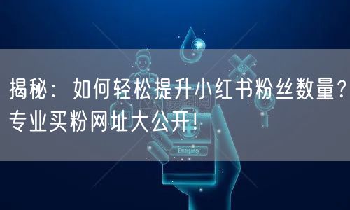揭秘：如何轻松提升小红书粉丝数量？专业买粉网址大公开！